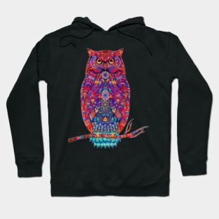 Colorful animal owl Hoodie